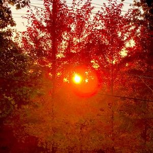 Meet your Posher, Jaci.